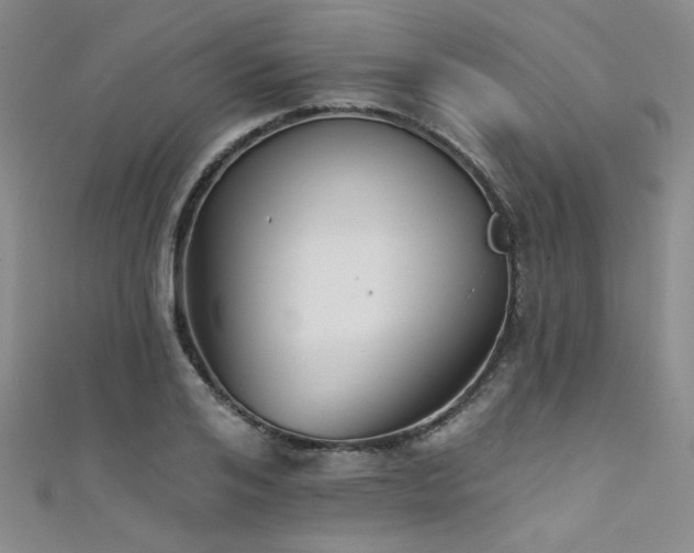 X0000111480984200907141214