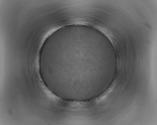 X0000111480987200907141214