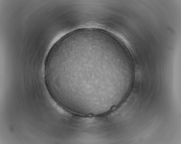X0000111480990200907141214