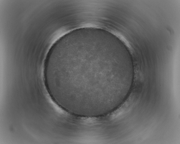 X0000111480991200907141214