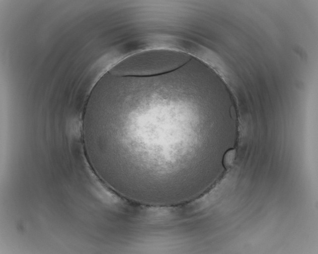 X0000111480993200907141214