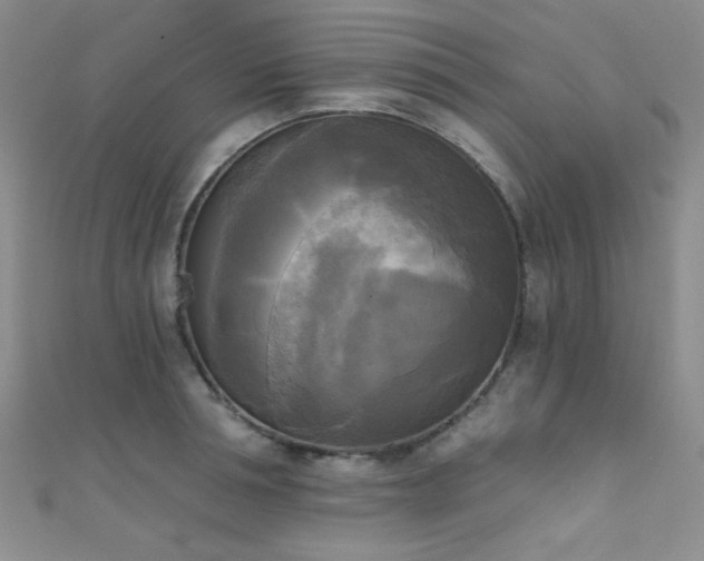 X0000111480994200907141214