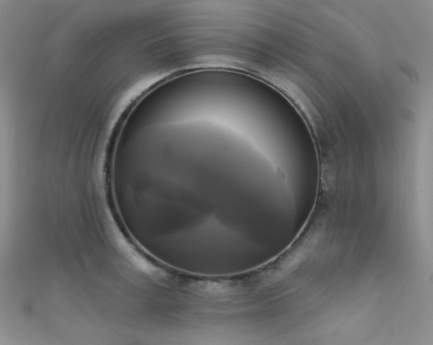 X0000111480995200907141214