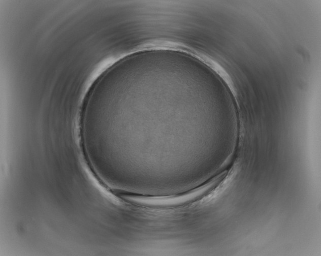 X0000111480997200907141214