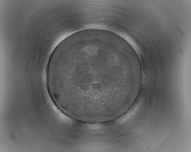 X0000111480999200907141214