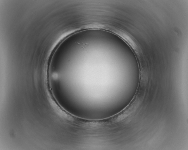 X0000111481000200907141214