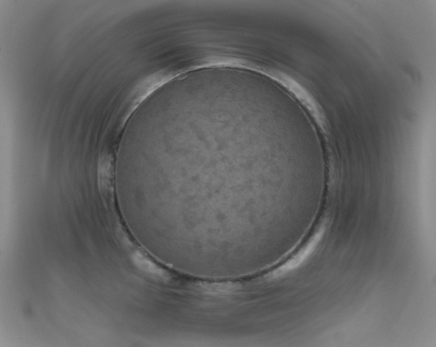 X0000111481001200907141214