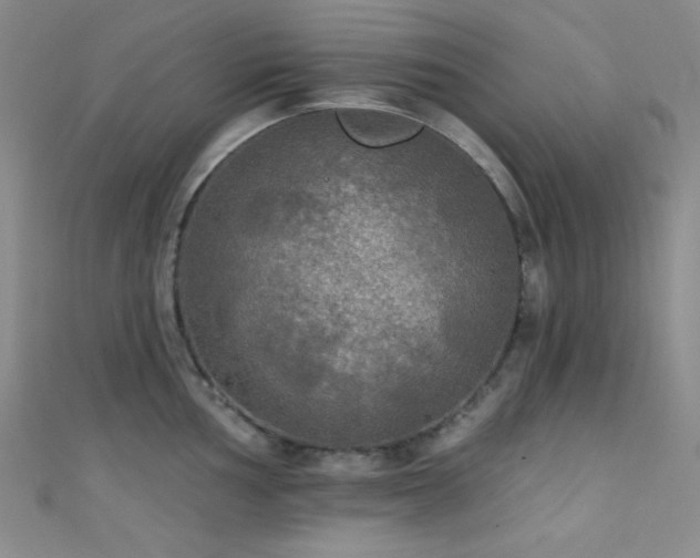 X0000111481002200907141214