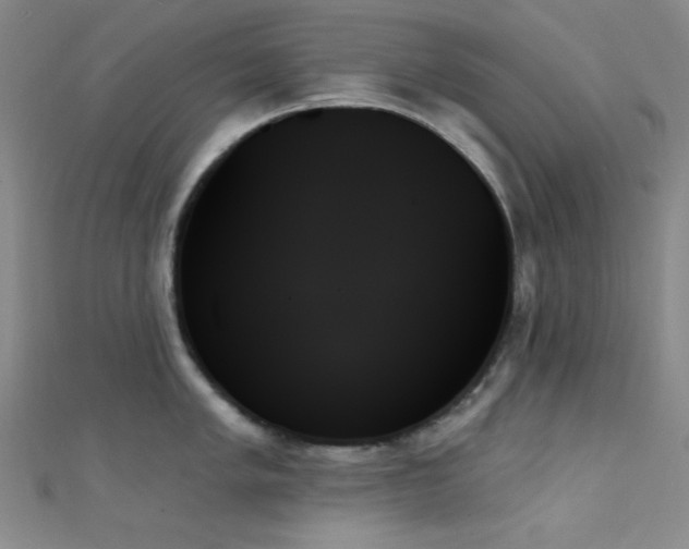 X0000111481005200907141214