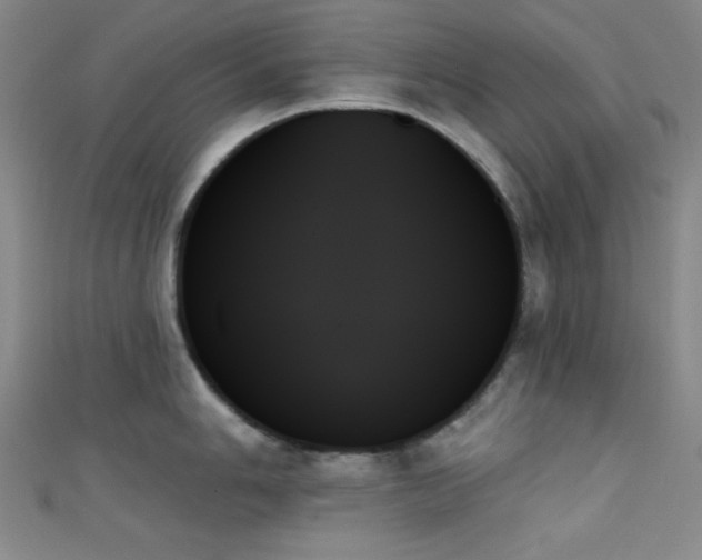 X0000111481006200907141214