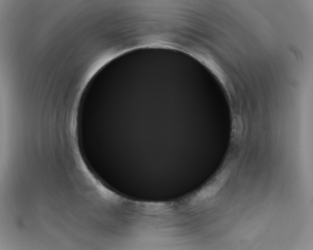 X0000111481007200907141214