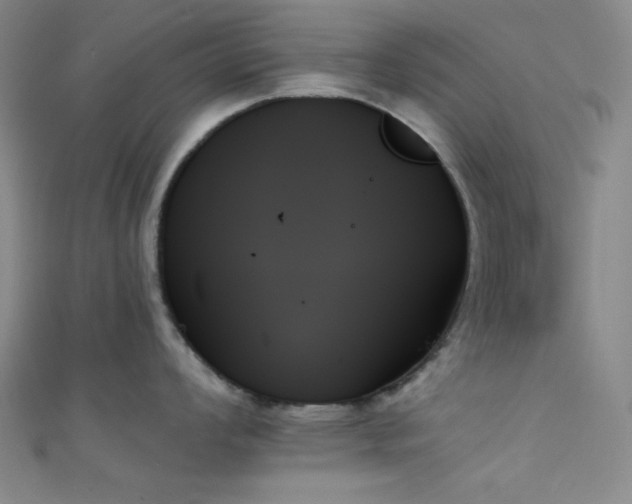 X0000111481008200907141214