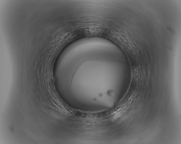 X0000111481009200907141213