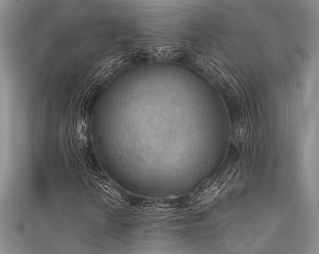 X0000111481010200907141213