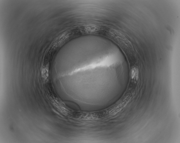 X0000111481011200907141213