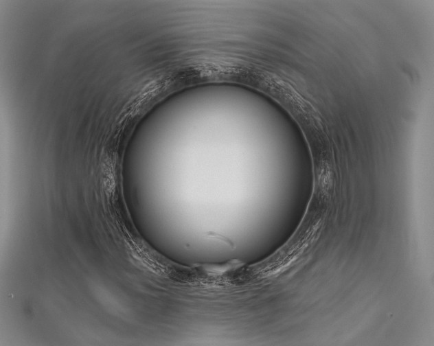 X0000111481012200907141213