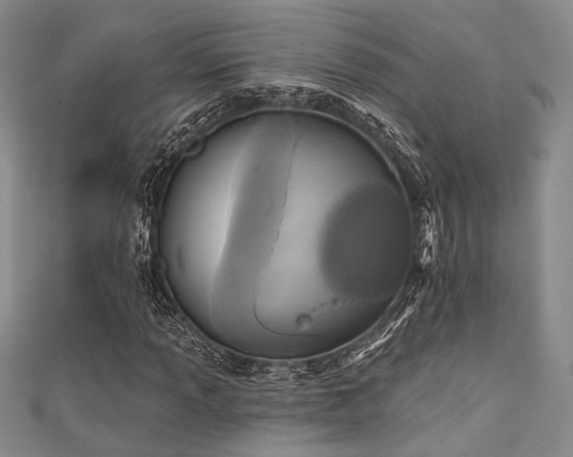 X0000111481013200907141213