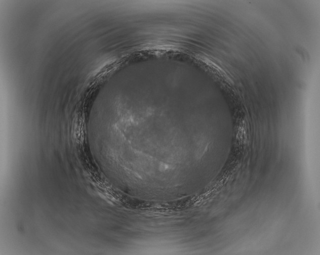 X0000111481014200907141213