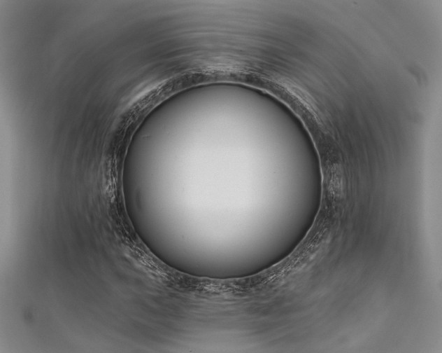 X0000111481015200907141213