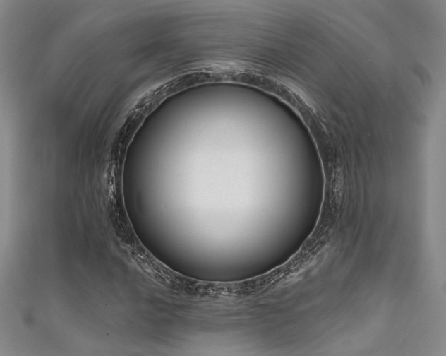 X0000111481016200907141213