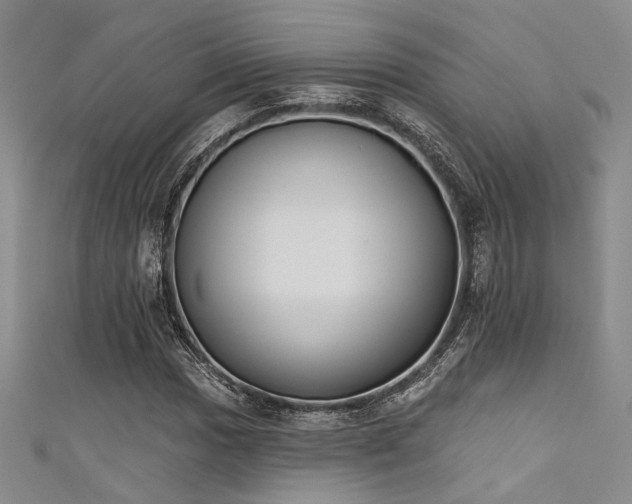 X0000111481017200907141213