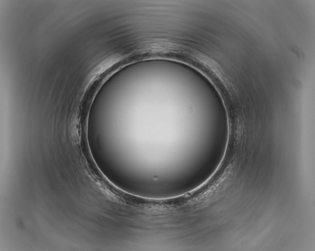X0000111481018200907141213