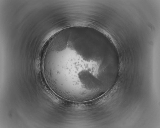 X0000111481019200907141213
