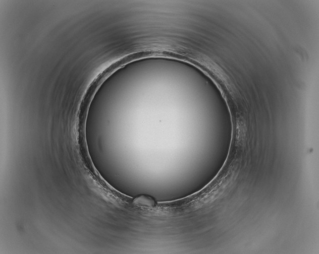 X0000111481020200907141213