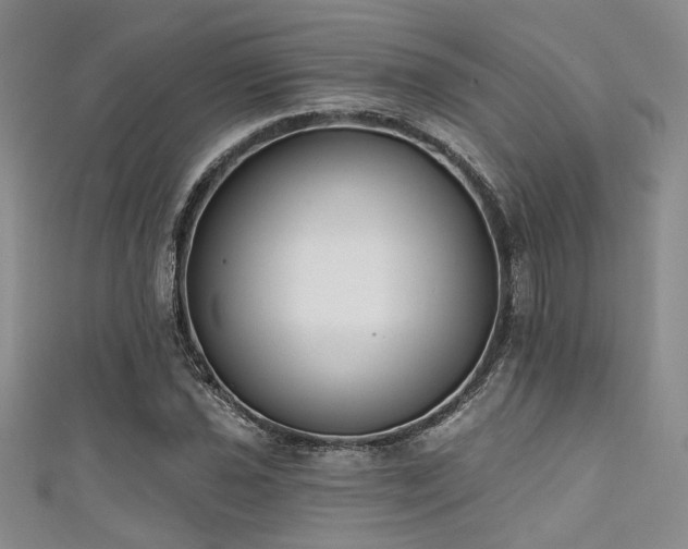 X0000111481021200907141213