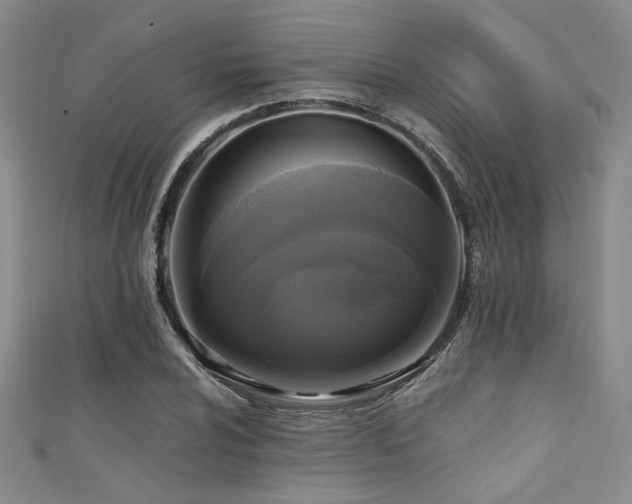 X0000111481024200907141213