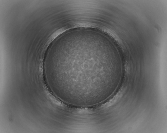 X0000111481025200907141213