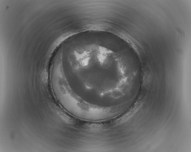 X0000111481027200907141213