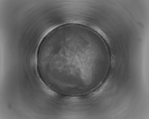 X0000111481028200907141213