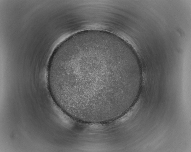 X0000111481029200907141213