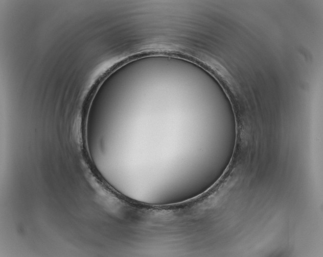 X0000111481030200907141213