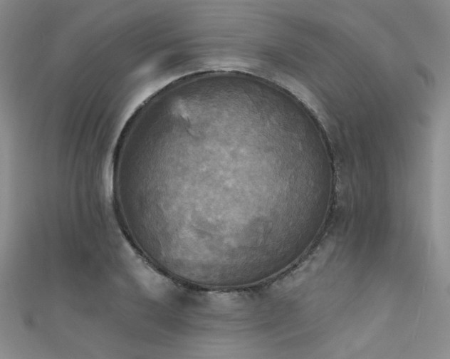 X0000111481032200907141213