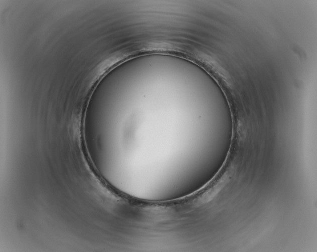 X0000111481033200907141213