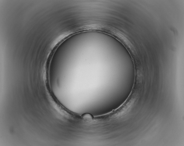 X0000111481034200907141213