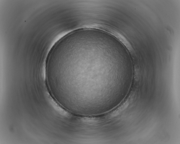 X0000111481036200907141213