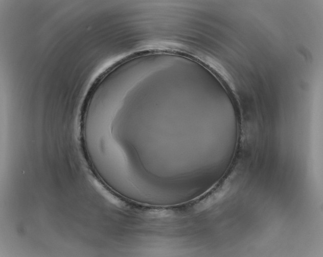 X0000111481037200907141213