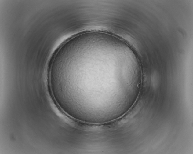 X0000111481038200907141213