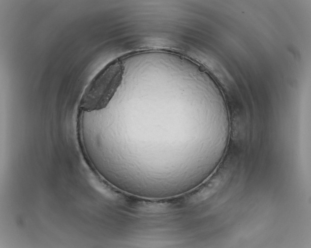 X0000111481039200907141213