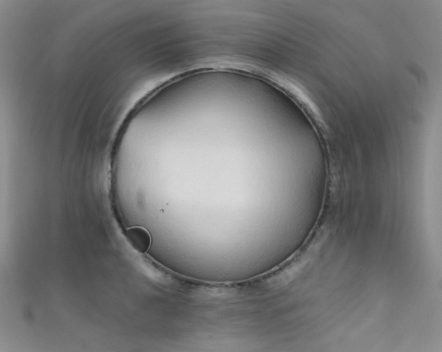 X0000111481040200907141213