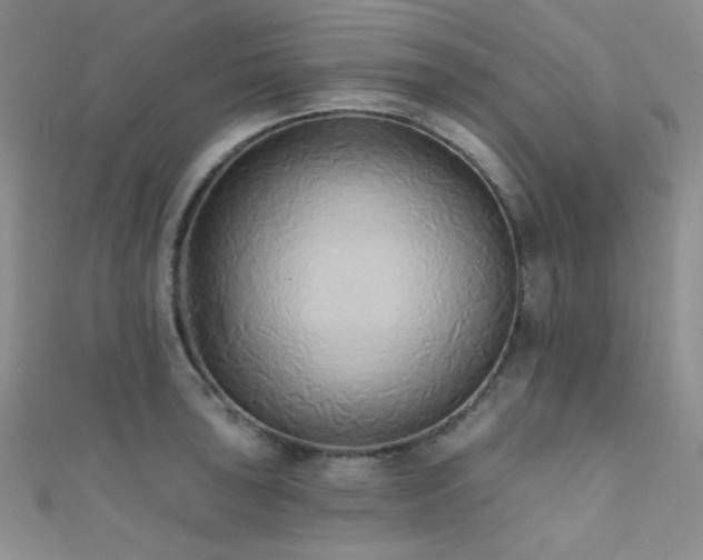 X0000111481043200907141213
