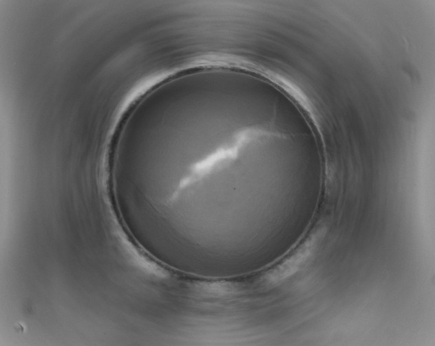 X0000111481045200907141213