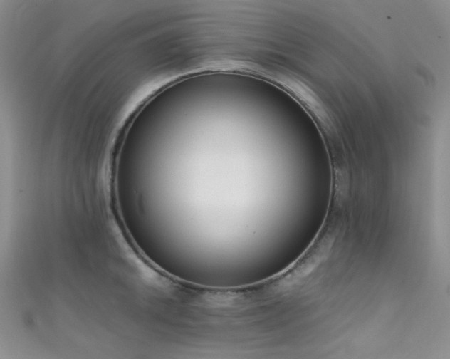 X0000111481046200907141213