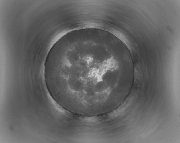 X0000111481047200907141213