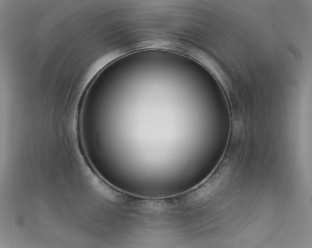 X0000111481050200907141213