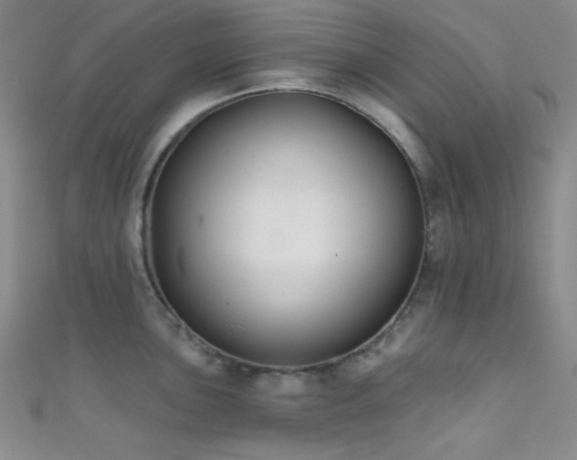X0000111481051200907141213