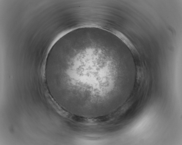 X0000111481052200907141214